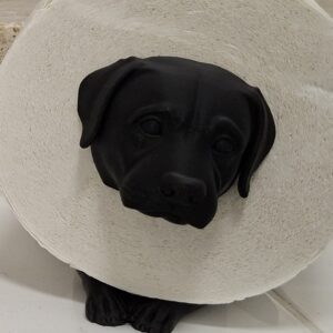 R.J.-Toilettenpapierhalter-Hund