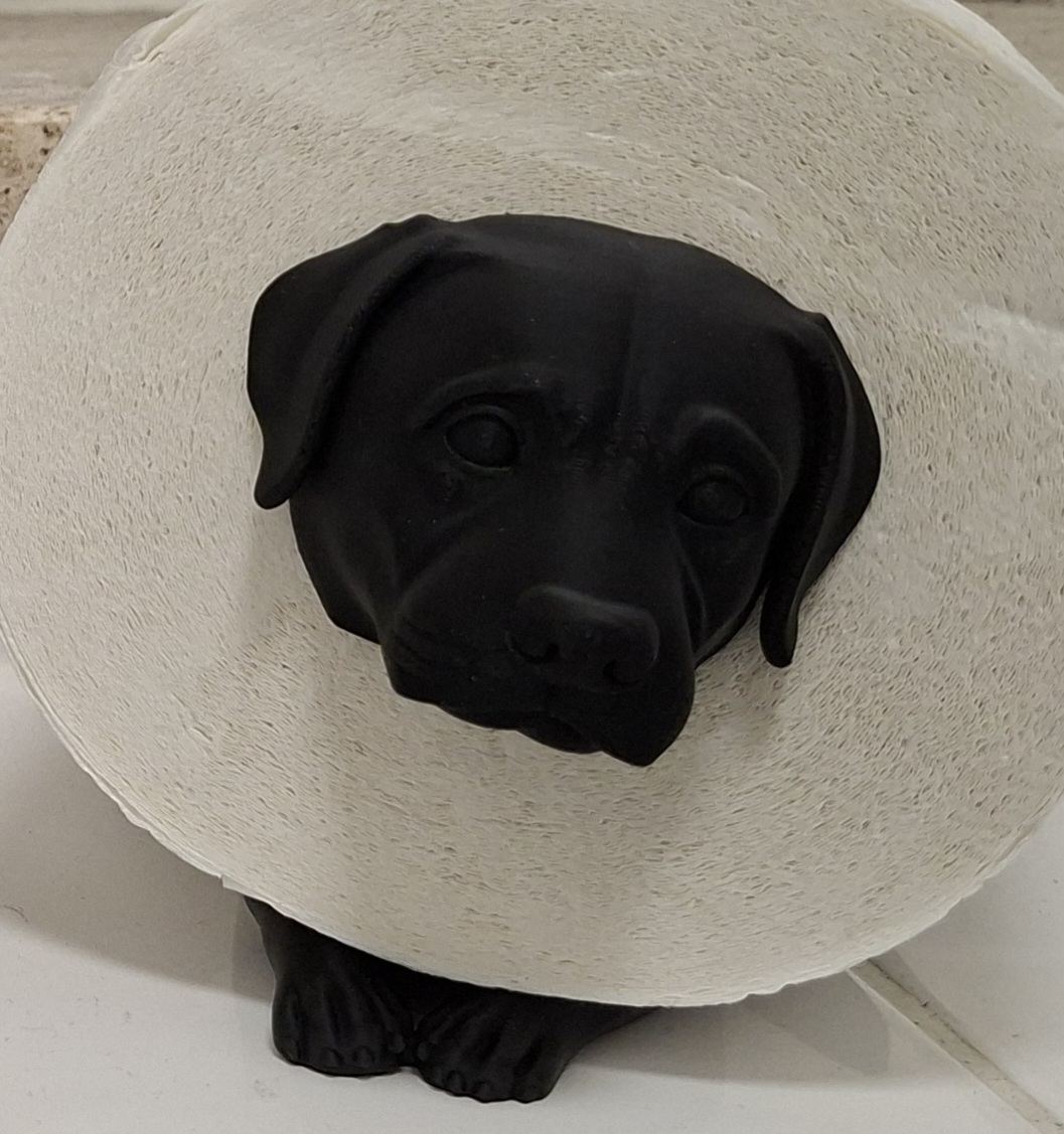 R.J.-Toilettenpapierhalter-Hund