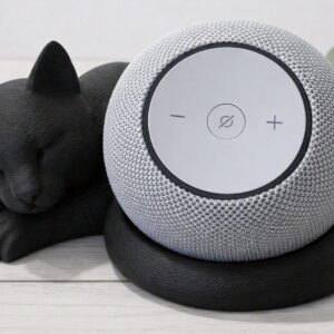 Katze Alexa schwarz Echo Dot Max